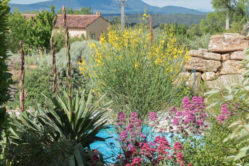 pin parasol - foto 28