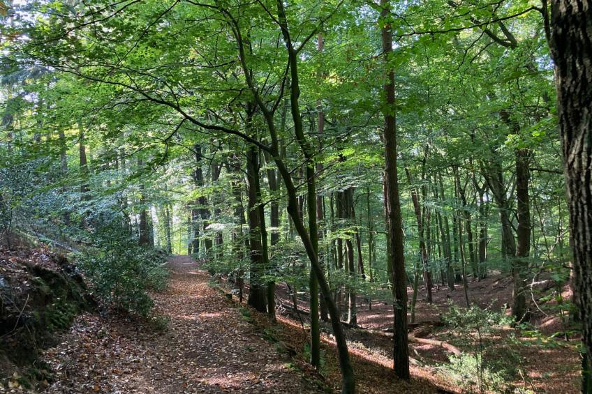 Schönes Ferienhaus in Brochterbeck mit Garten - foto 23