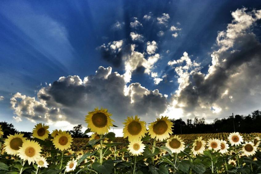 Il Melograno Panoramahaus - foto 29