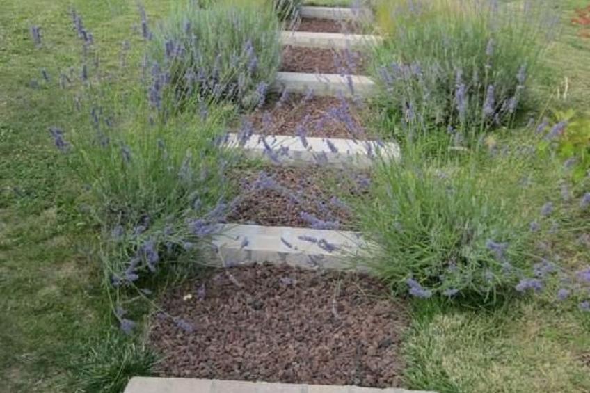 Haus "l'Ecurie" mit Terrasse und Garten - foto 15