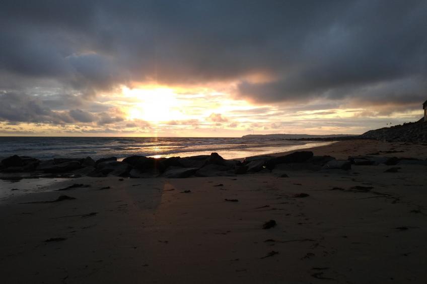Le Bois aux Ecureuils (Eichhörnchenwald) - foto 36