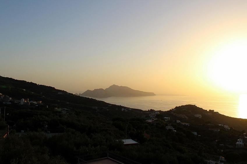 Sonnenstrahl - foto 19