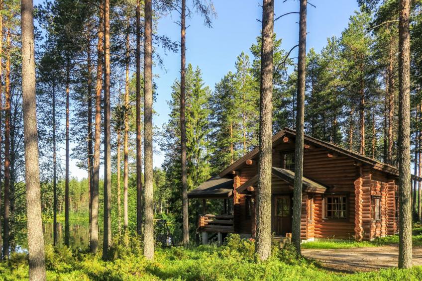 Välikosken karpalo - foto 45