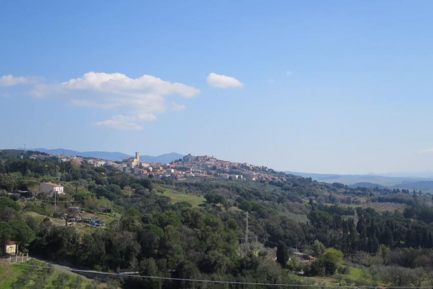 Rosmarina - foto 40