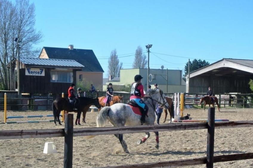 "Gîte de la Sienne" - foto 24