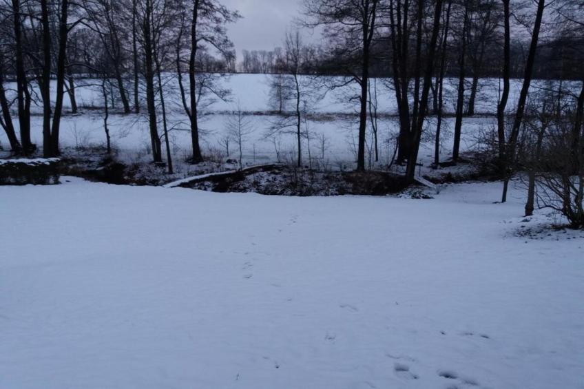 Thomas Müller - foto 37