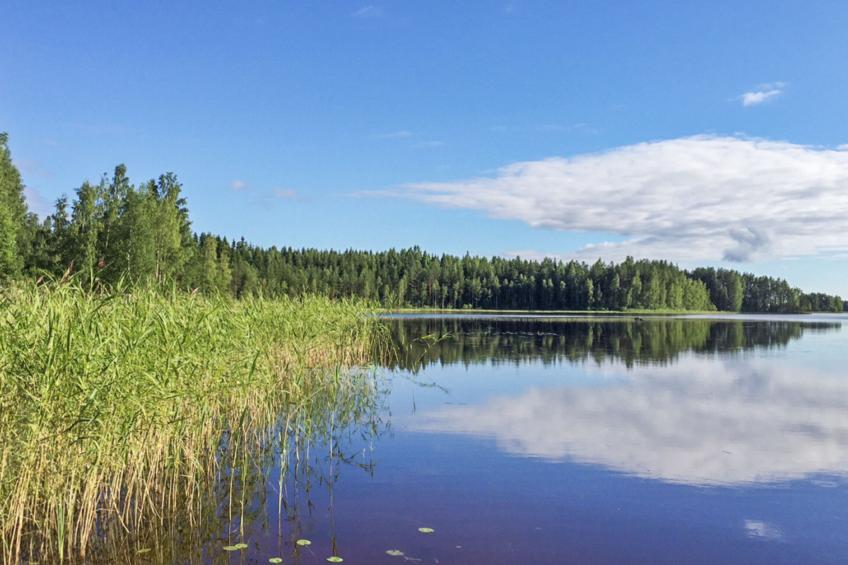 Tyynelä - foto 16