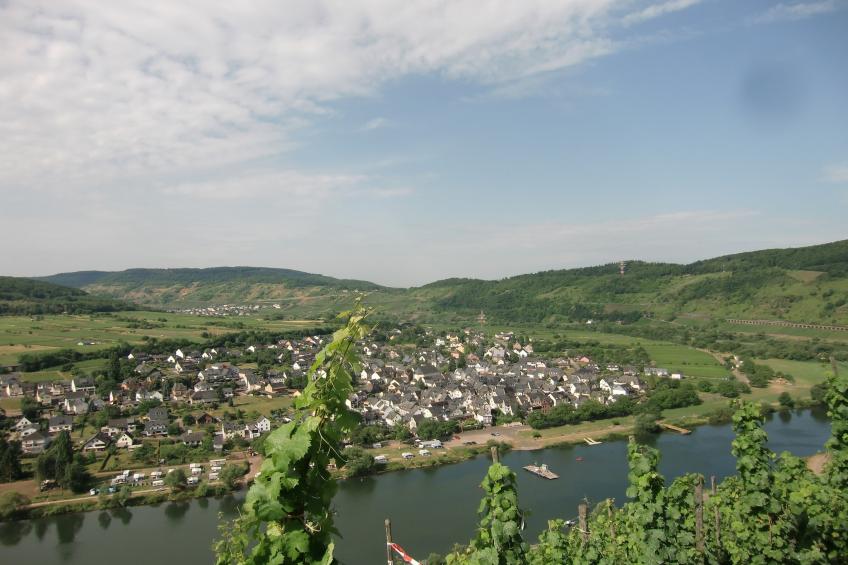 Briedel - foto 27