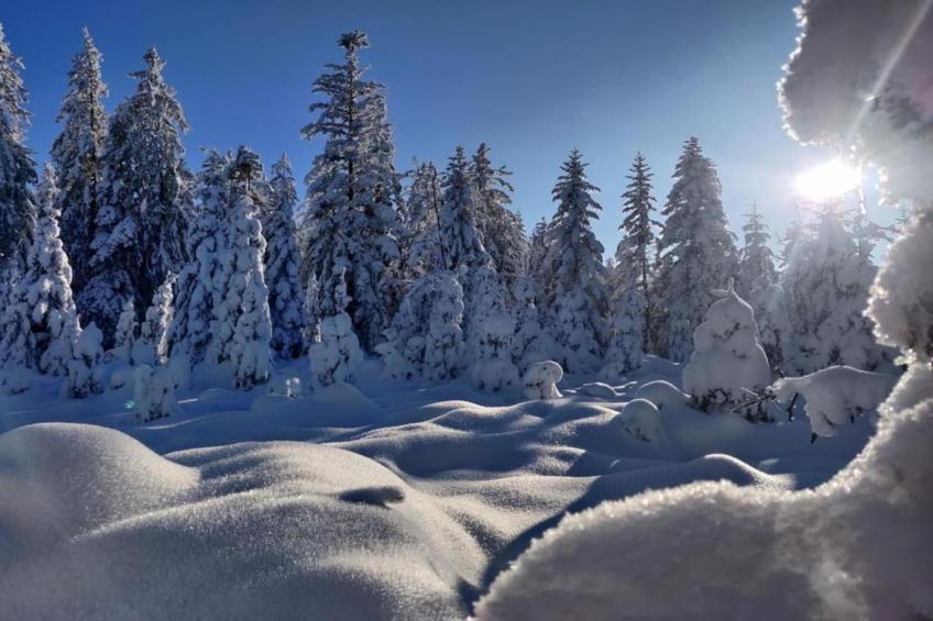 Ronds Chetys - foto 21