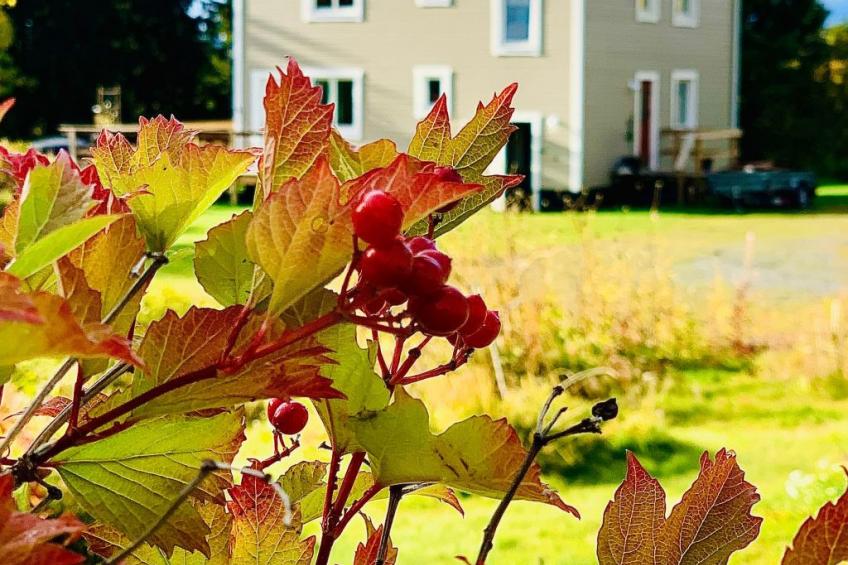 Ferienvilla mit Whirlpool