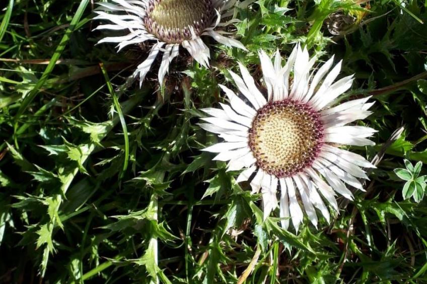 Gemütliches Ferienhaus in Fischbach Rhön - foto 15