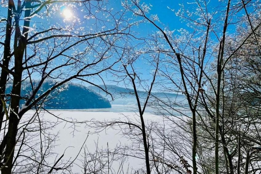 in Nieder-Werbe mit Großer Terrasse - foto 30