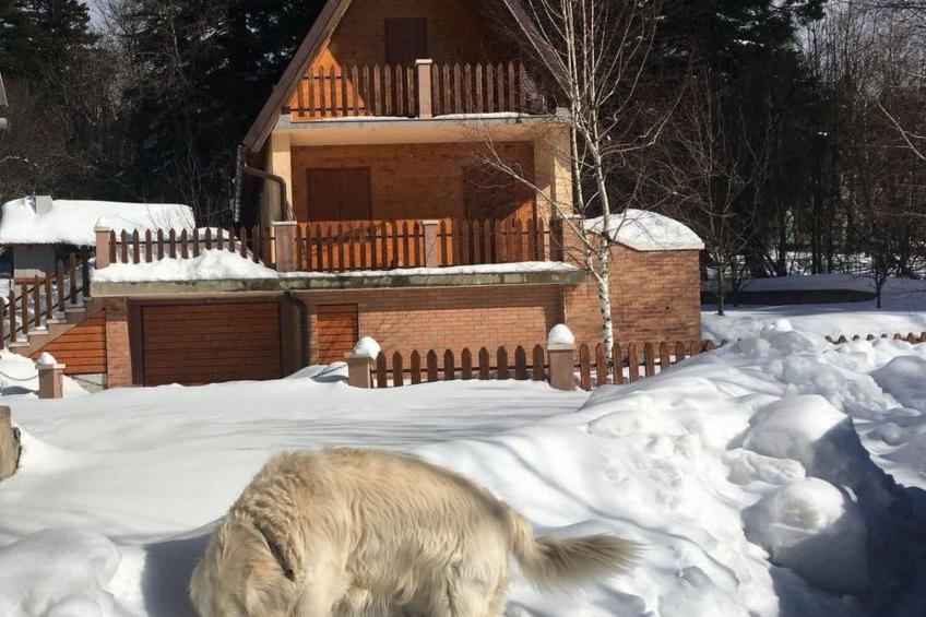 Schönes Ferienhaus in Breze mit Eigenem Balkon - foto 32