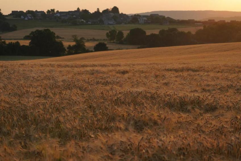 La Cour des Seigneurs 24 p - foto 29