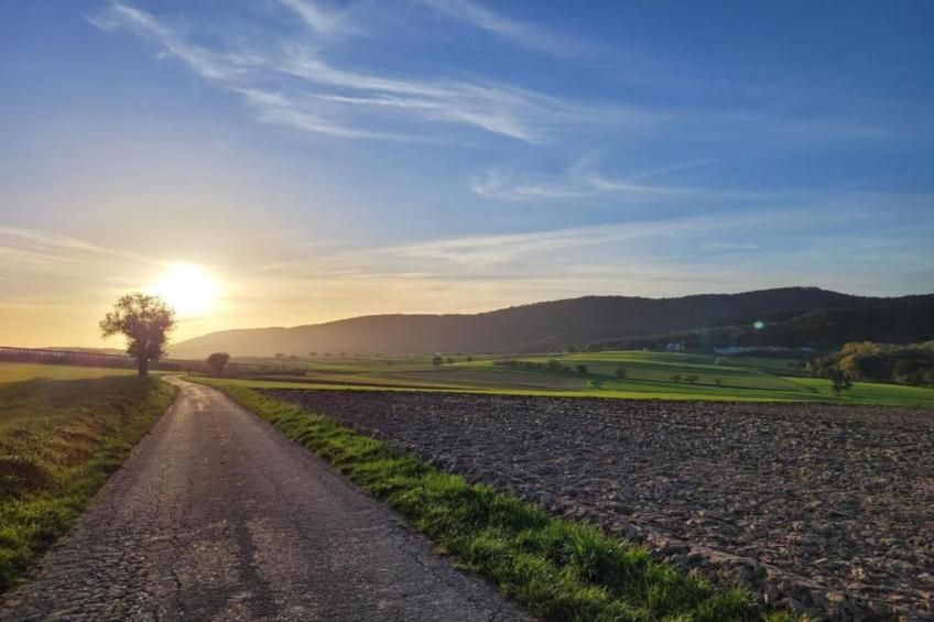 Maison de vacances - SCHLEITHAL - foto 38
