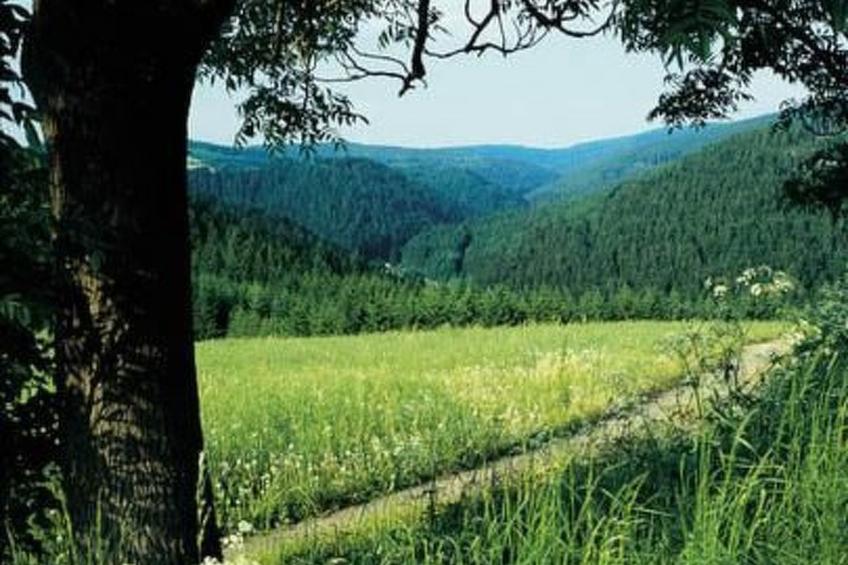 Haus "Hermann" - foto 18