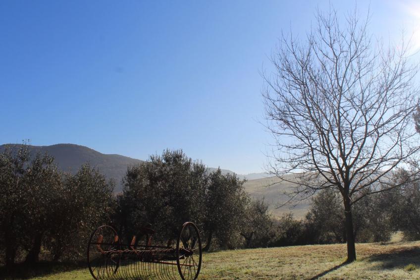 'Den Haag' mit eigenem Pool - foto 17