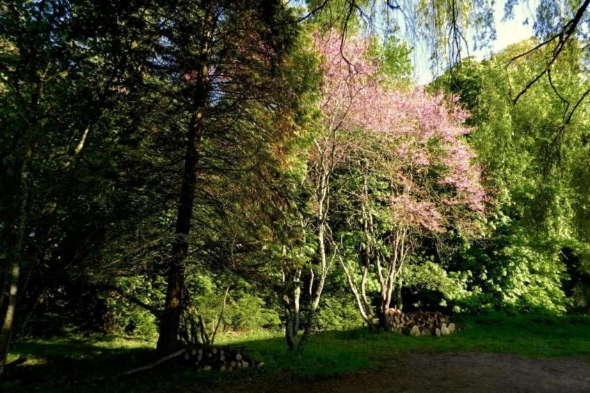 Maison de vacances - DIGES - foto 25