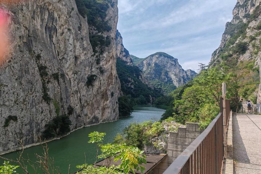 La Cantinaia Cova - foto 23