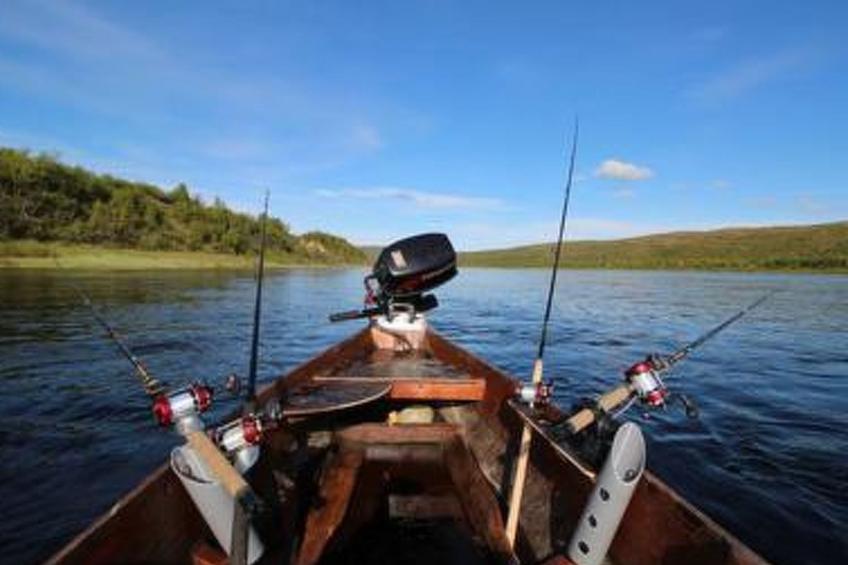 Karetörmä - foto 61