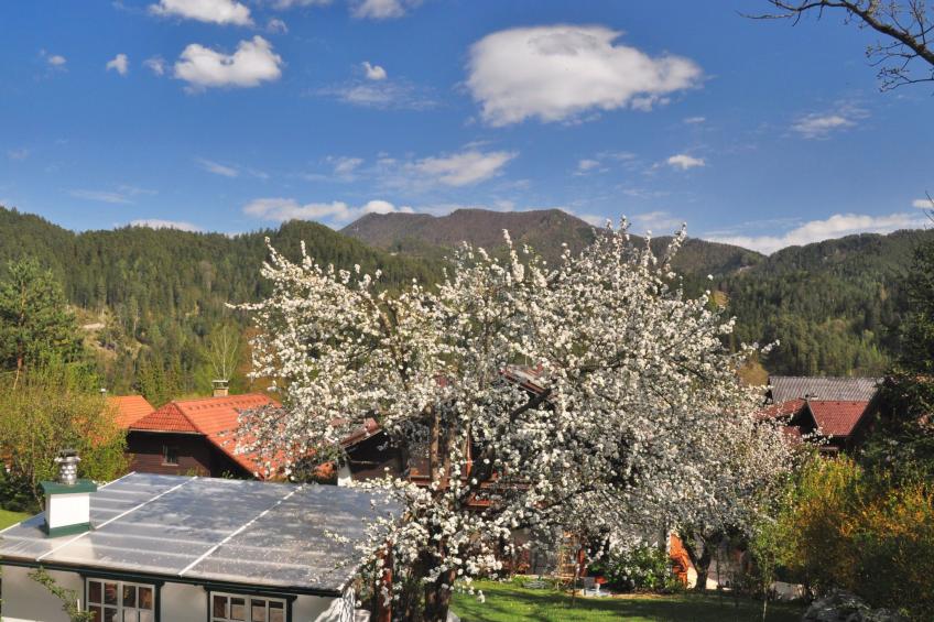 FEWO Gartenblick - foto 3