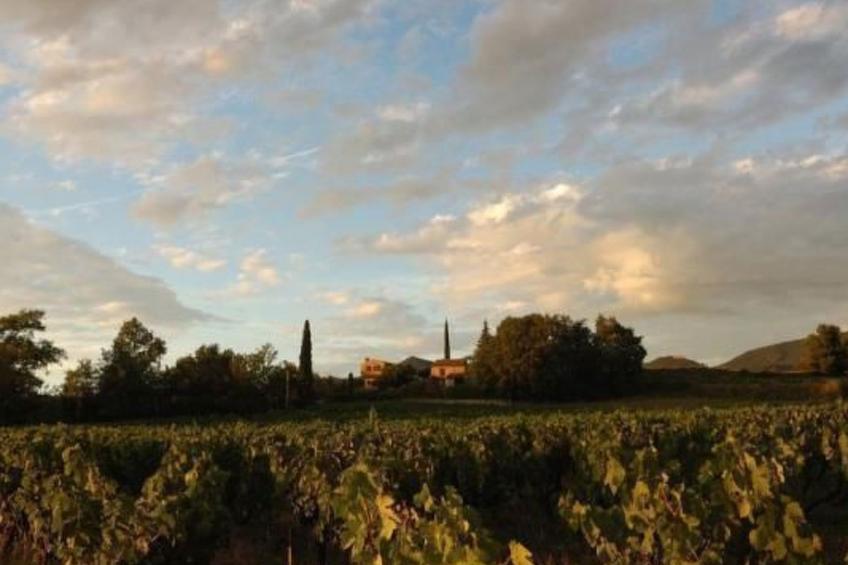 FERIENHAUS, FERIENHAUS "MAISON DE LAVANDE" (LAVENDELHAUS) - foto 48