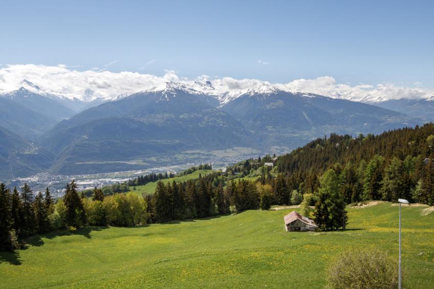 La Clairière des Barzettes A/B - foto 18