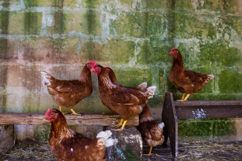 Borgo Marianna -  beheiztes schwimmbad - foto 46