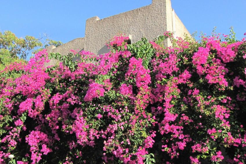 Bungalows für 2-4 Pers. mit Meerblick - foto 12