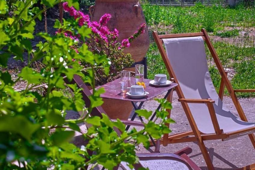 Villa Manthos Traditionelles Kretisches Herrenhaus - foto 2