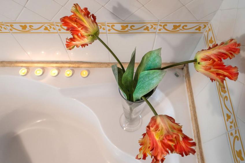 Weingut Le Caselle - foto 50