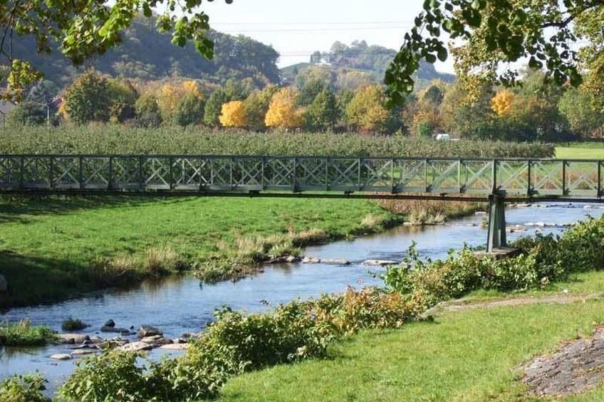 Mayer in Oberkirch - foto 36