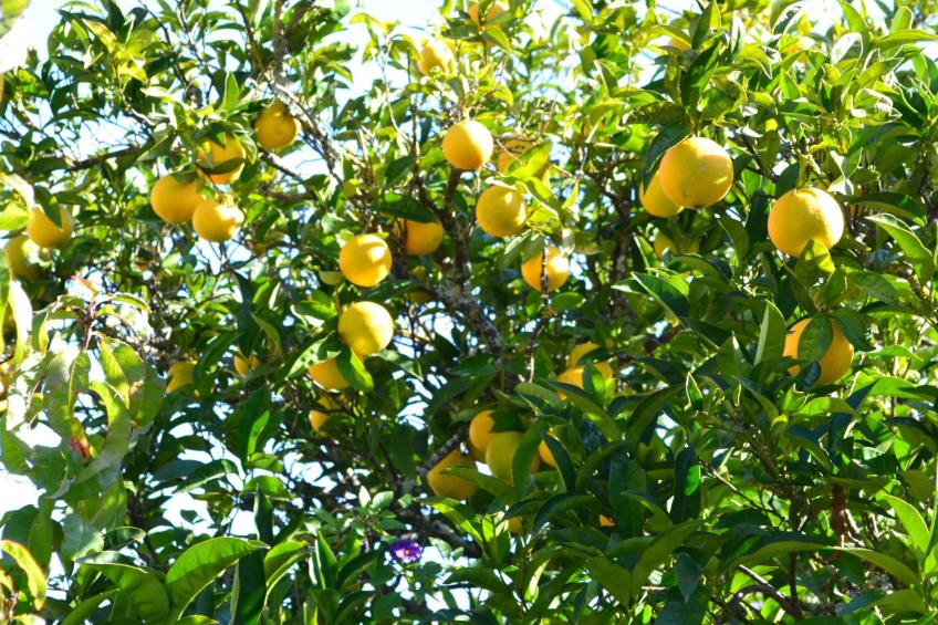 Luxuriöse Privatvilla mit Infinity-Pool - foto 42