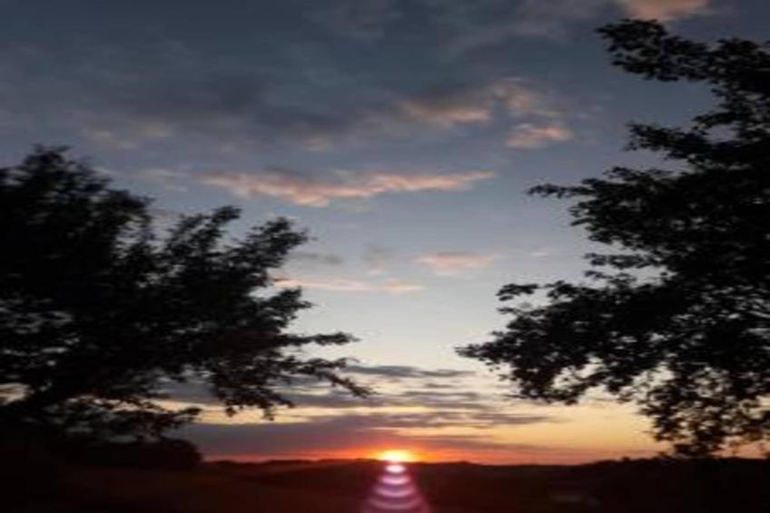 La Cantinaia Botte - foto 22