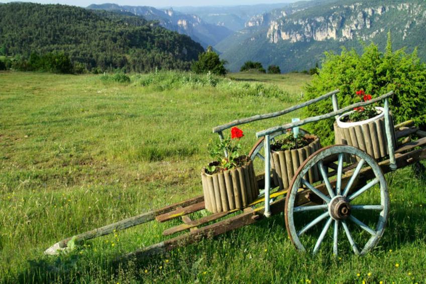 Gîte de France Gîte la vieille ecole au bruel des vignes 3 épis - foto 33