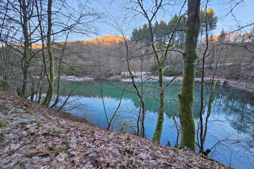 Buchenweg 13 - K - foto 36