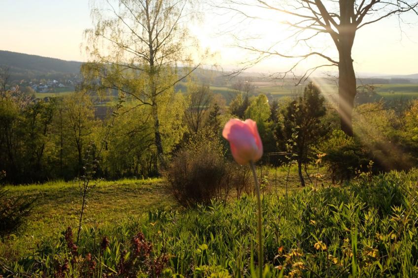 mit einer umwerfenden Panoramaaussicht - foto 27