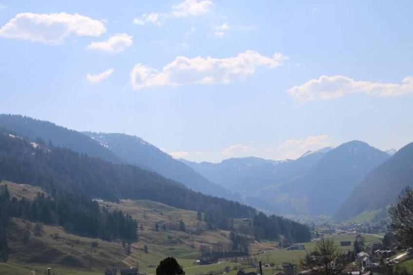 Chalet Lilian - foto 39