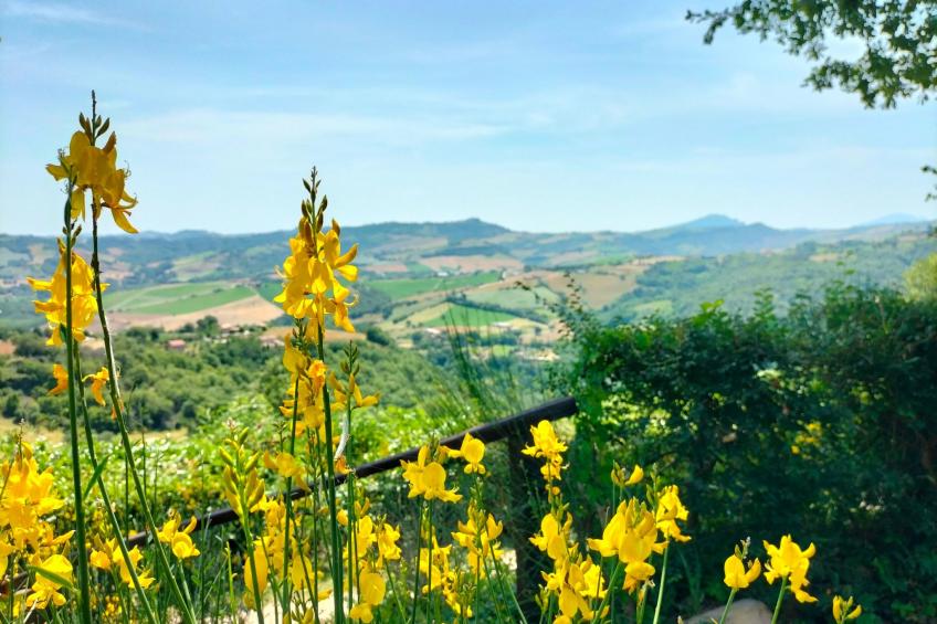Charmantes Bauernhaus in Penna San Giovanni - foto 36