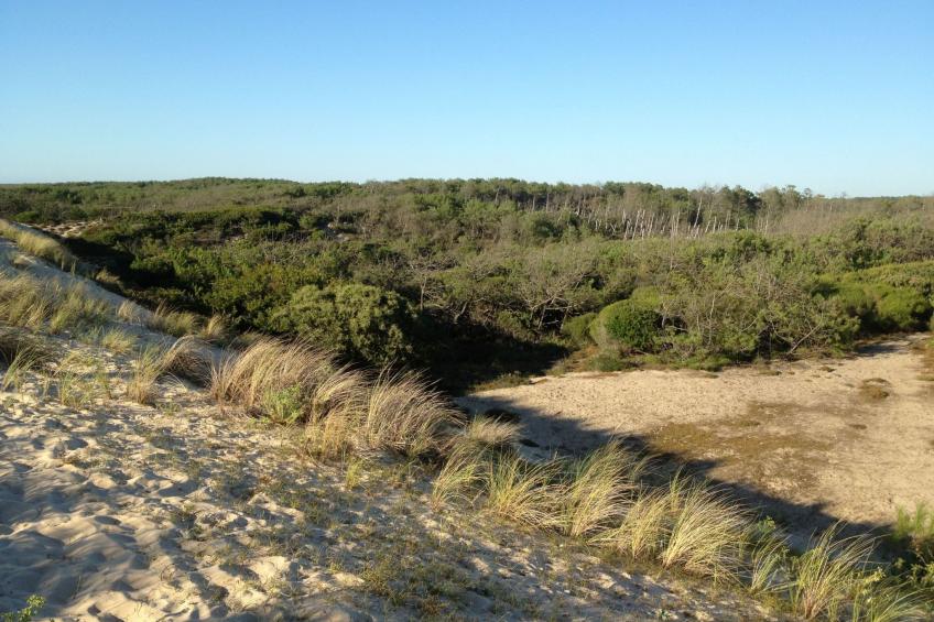 Villa "La Belle Vie" - foto 35