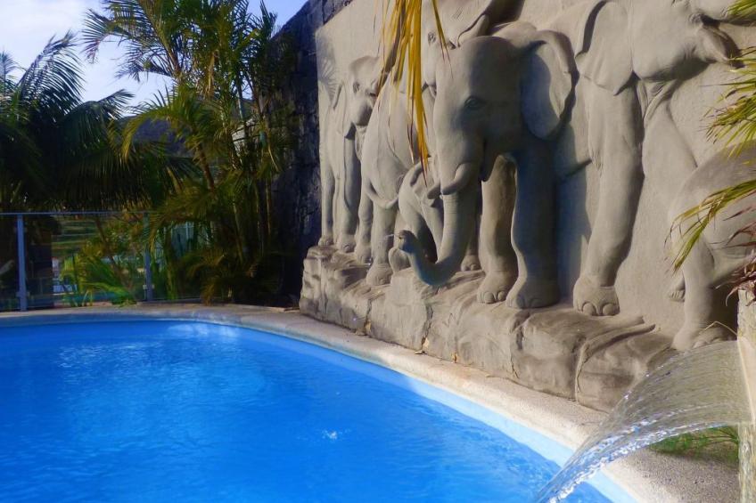 Bioklimatisches Haus auf Teneriffa - Natur - Entspannung - foto 29