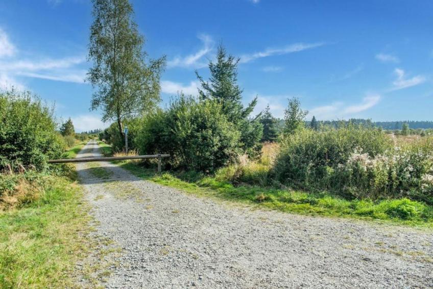 Les Hirondelle - foto 29