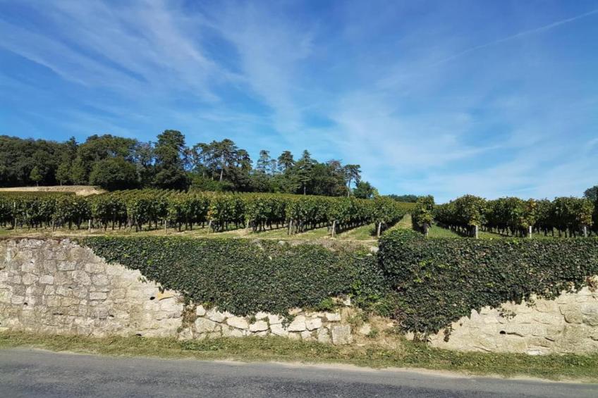 Gîte du Château - foto 31
