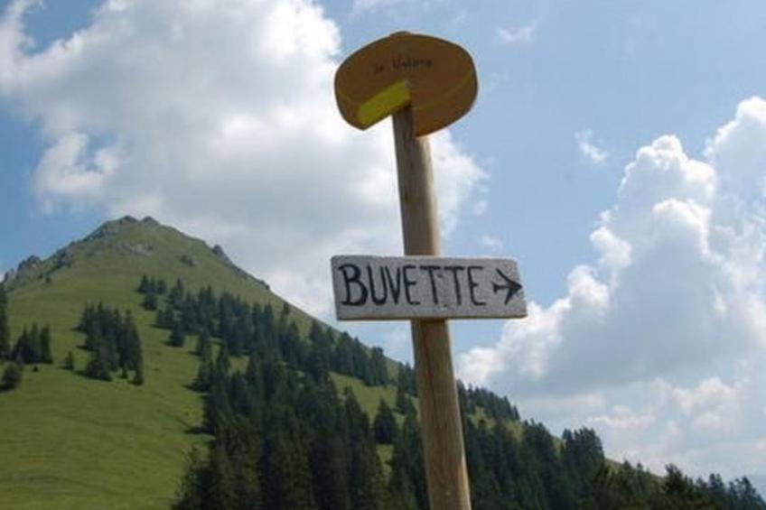 Maiensäss Romantica - foto 51