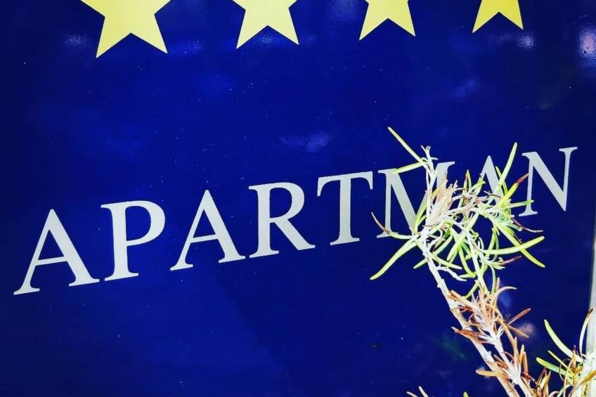 Michele-Mandarin - foto 7