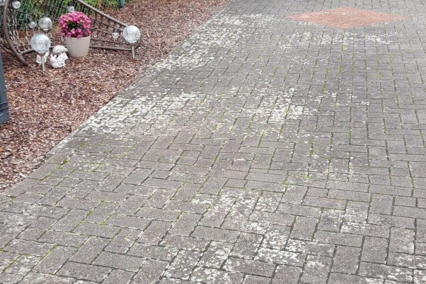 mit Garten, Grill und Terrasse - foto 41