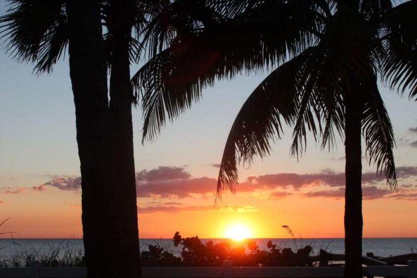 mit großzügigem Swimmingpool - foto 29