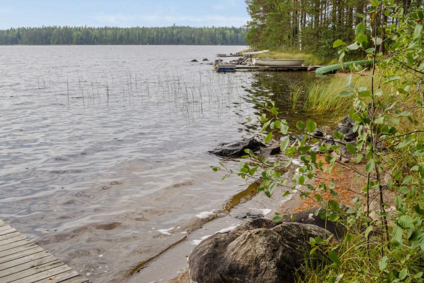 Koli, ulpukka - foto 34