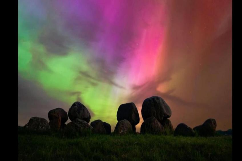 De Kibbelhoeve - foto 35