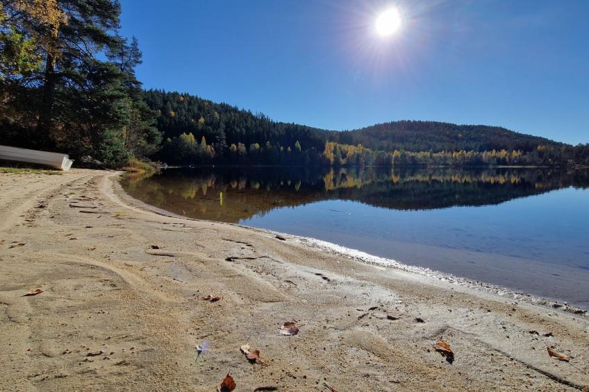 Midtholmen (SOW726) - foto 33